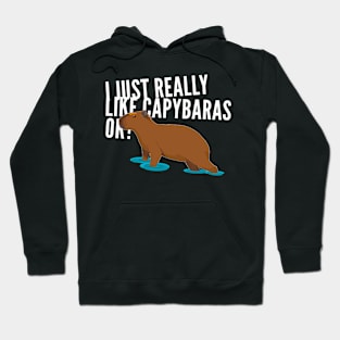 I just really like capybaras ok! Hoodie